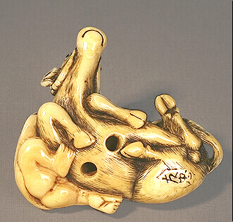 Reverse Ivory Bullock netsuke