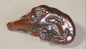 Reverse: Wood Boar Netsuke