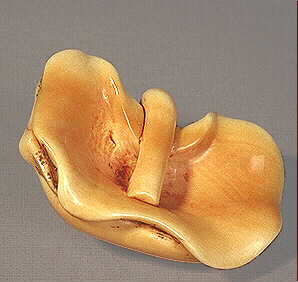 Reverse: Ivory Dragon Netsuke