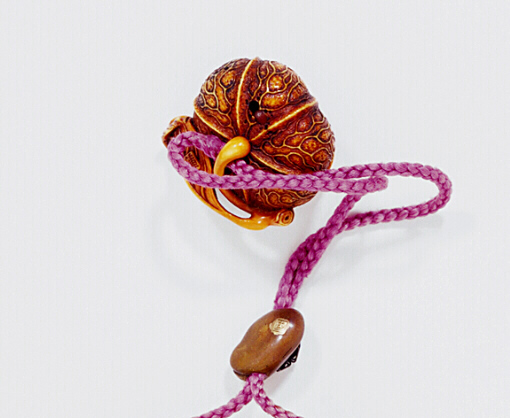 Reverse Ivory Cape Gooseberry Netsuke